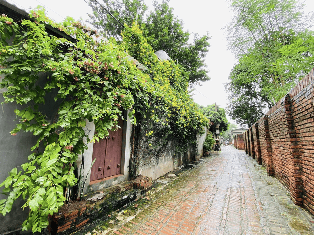 Đến đây, du khách có thể cảm nhận được nhịp sống chậm rãi, không xô bồ, thoải mái như được trở về quê nhà (Nguồn: Đường Lâm Homestay)